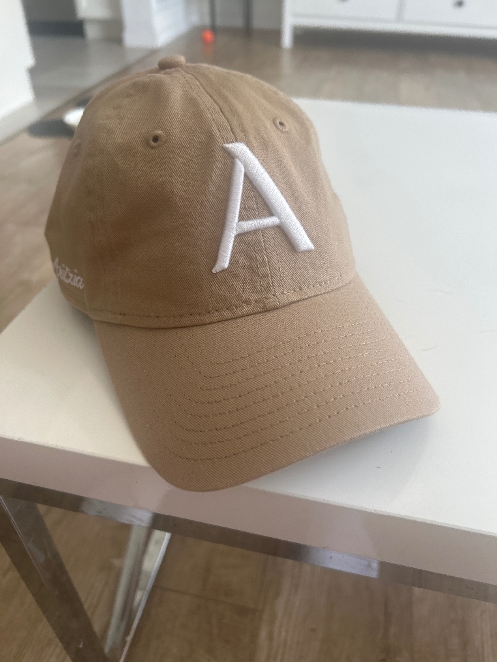 Aritzia baseball cap
